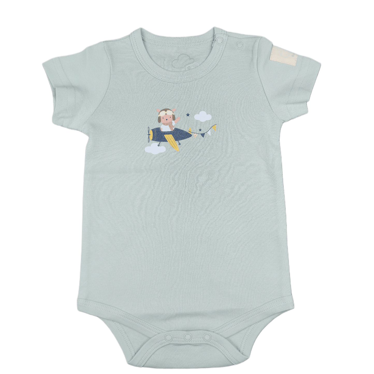 Sage green teddy print bodysuit